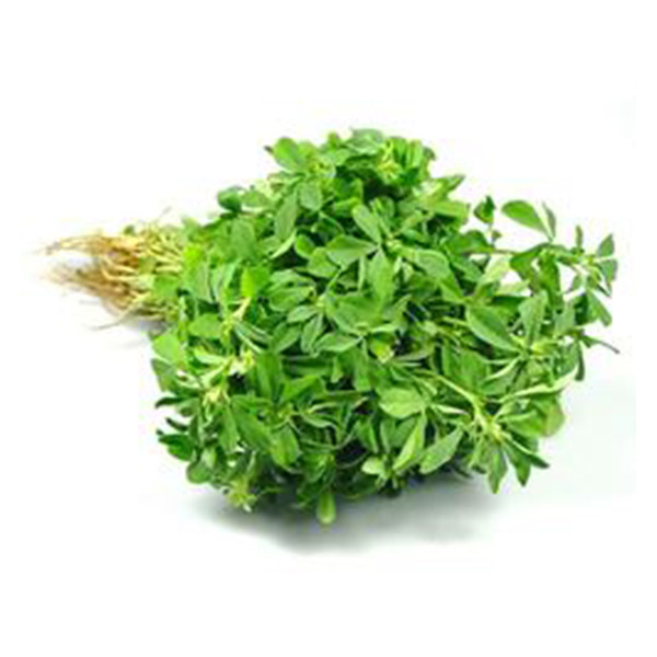 Methi