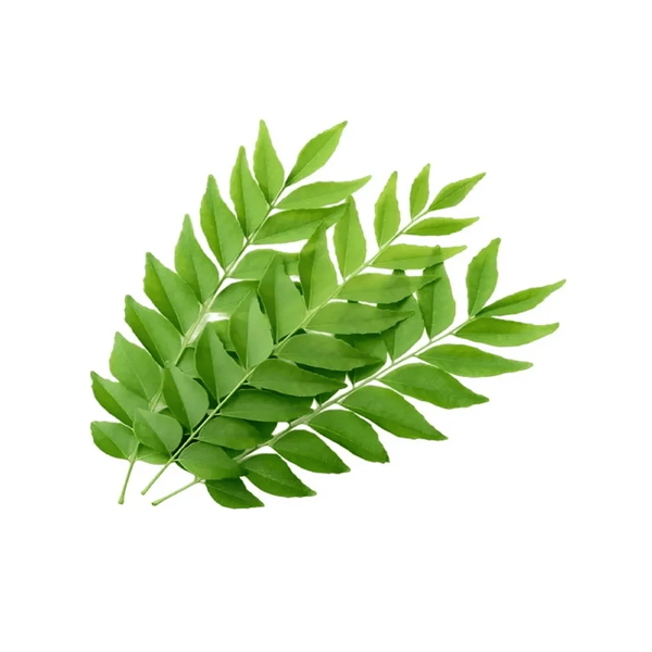 Curry leaves