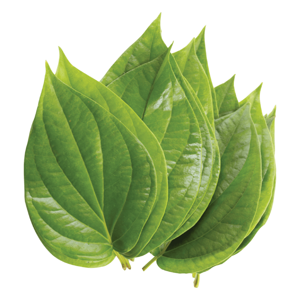 Paan Leaves Pack